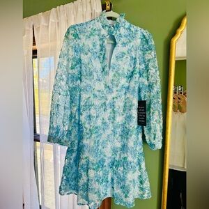 NWT tuckernuck Palmerston dress in organza waters edge